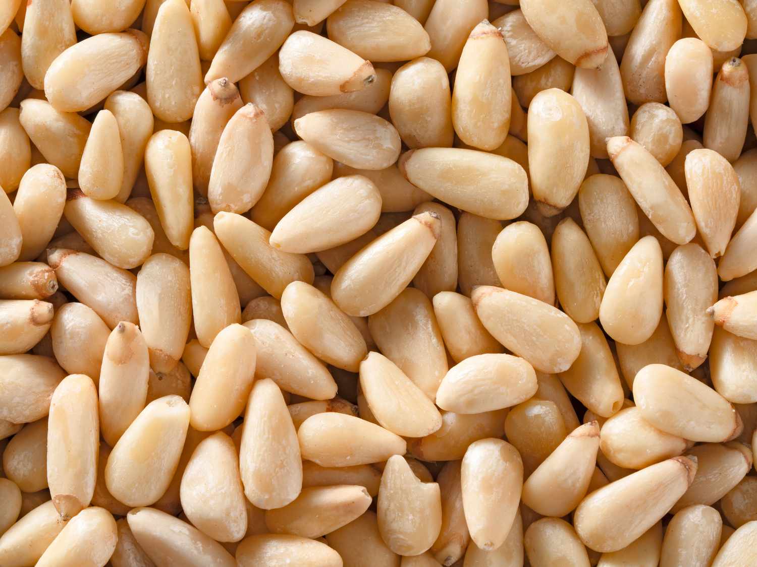 wholesale supply of pine nuts